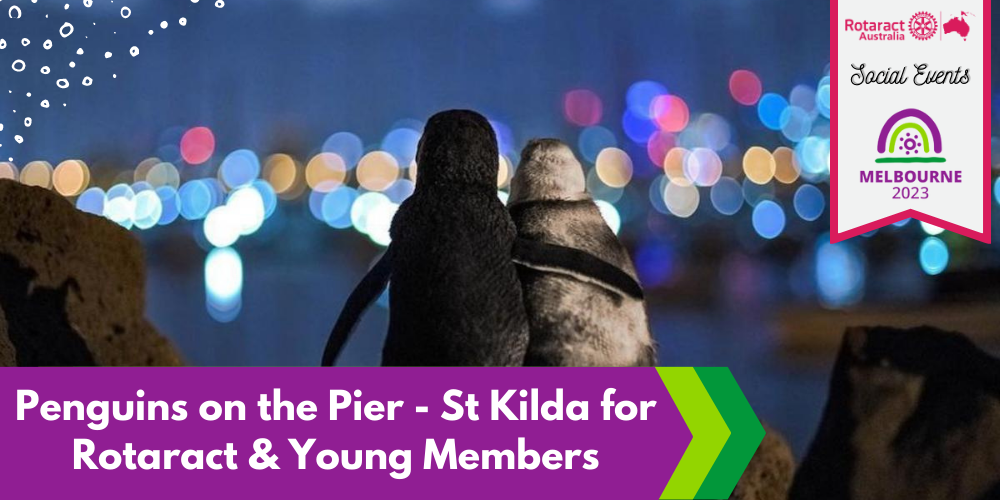 Penguins on the Pier, St Kilda Night - Sun 28 May 2023