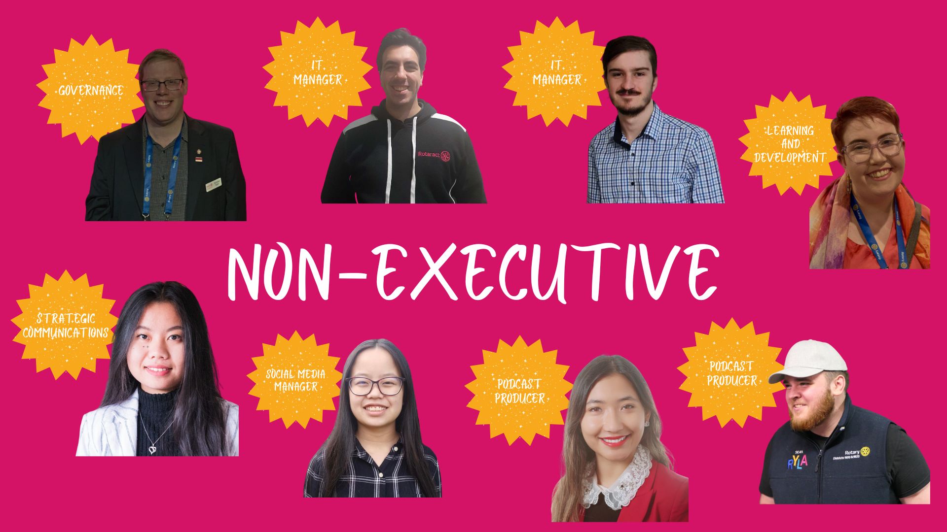 executive non-executive (1)