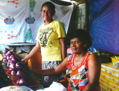 Economic+developmet+Microcredit+in+Fiji_2